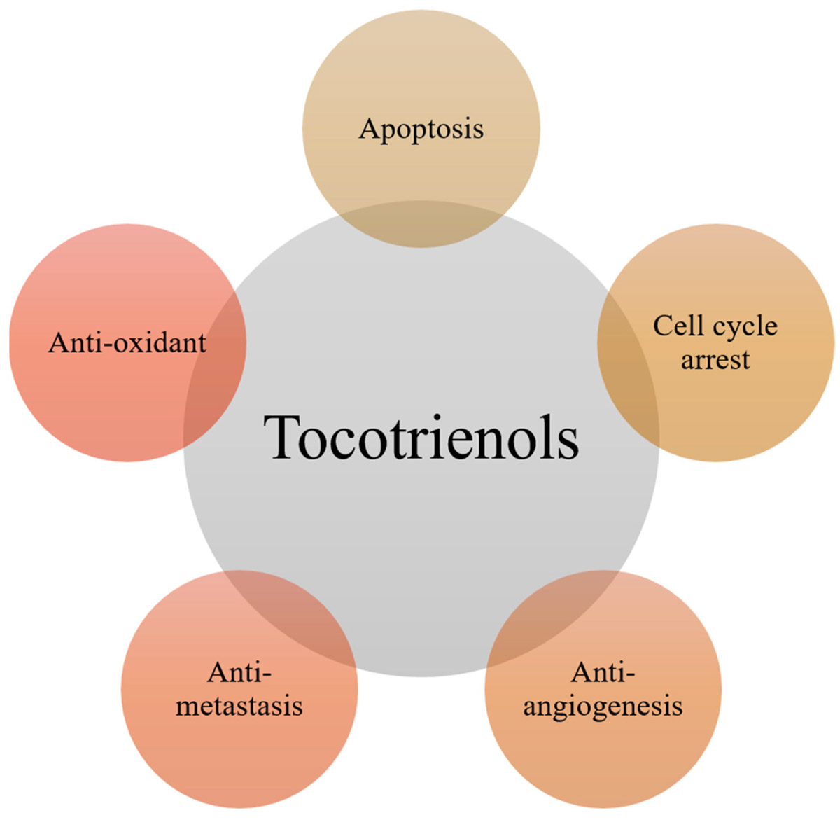 Tocotrienols Actions